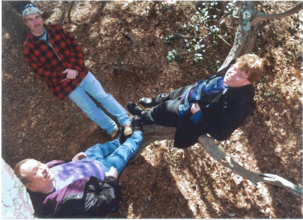 Three men in a tree